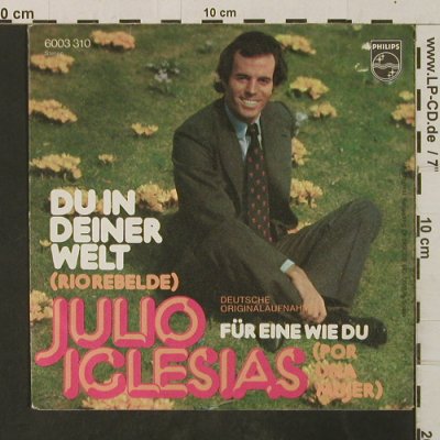 Iglesias,Julio: Du in deiner Welt(RioRebelde), Philips (6003 310), D, 1976 Typ: 7" Best.-Nr.: T3003 Preis: 2,50 Euro