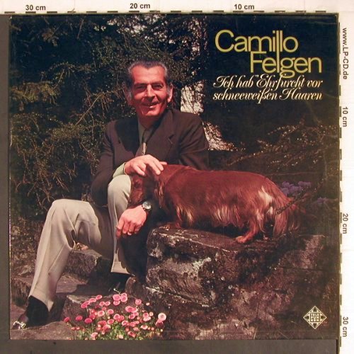 Felgen,Camillo: Ich hab Ehrfurcht v.schneew.Haaren, Telefunken(NT 745), D, 1973 - LP - X5451 - 5,00 Euro