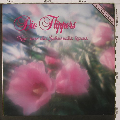 Flippers: Nur wer die Sehnsucht kennt, Bellaphon(13 690 3), D, 1986 - LP - Y1657 - 6,00 Euro