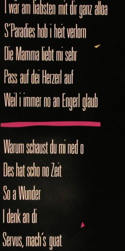 Nicki: Servus Nicki, Virgin(207 150-320), D, 1985 - LP - Y2732 - 6,00 Euro