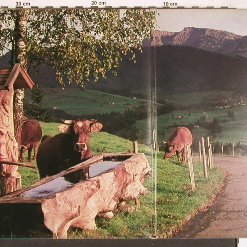 V.A.Fröhliche Musikanten: spielen auf, Foc, Polydor(2664 279), D,  - 2LP - Y4593 - 6,00 Euro