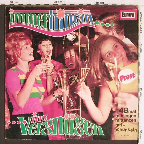 V.A.Hinein ins Vergnügen: 48 mal mitsingen,mittanzen..., Europa(E 333), D,  - LP - Y5469 - 5,00 Euro