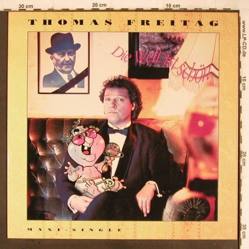 Freitag,Thomas: Die Welt ist schön/This world is sc, Electrola, D, 1990 Typ: 12" Best.-Nr.: Y9033 Preis: 1,00 Euro