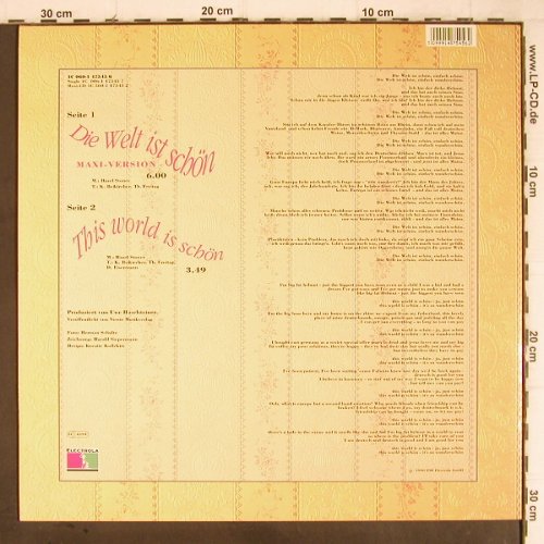 Freitag,Thomas: Die Welt ist schön/This world is sc, Electrola, D, 1990 Typ: 12" Best.-Nr.: Y9033 Preis: 1,00 Euro
