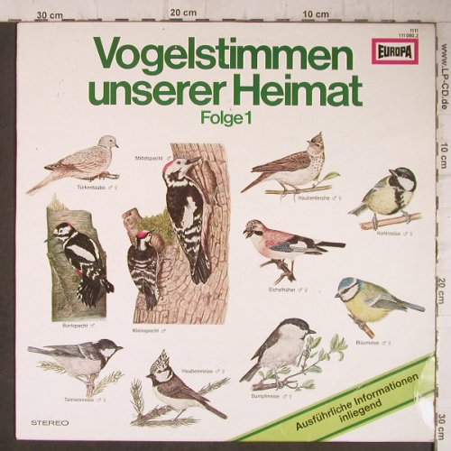 Vogelstimmen unserer Heimat: Folge 1, Europa(111 080.2), D, 1977 - LP - F7641 - 5,00 Euro