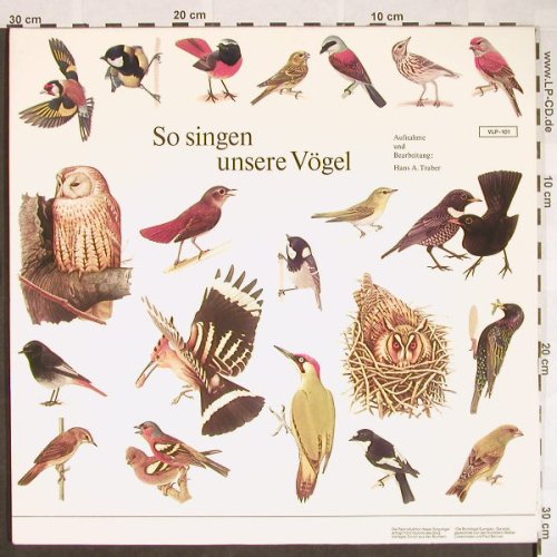 So Singen unsere Vögel: Hans A.Traber, 66 Tr. Foc, VLP(VLP-101), D, Mono,  - 2LP - F9714 - 7,50 Euro