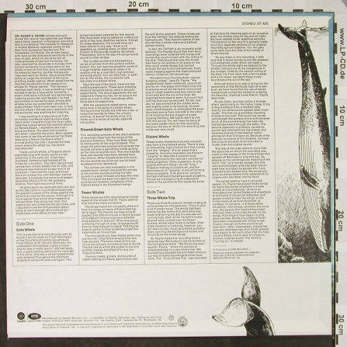 Humpback Whale: Songs of the , Ri, Capitol(ST-620), US, 1970 - LP - H4516 - 5,00 Euro
