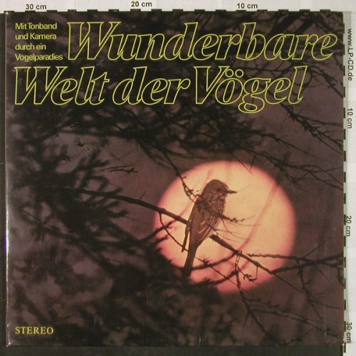 Wunderbare Welt der Vögel: Mit Tonband+Kamera...Foto-Booklet, Penny(S 2 1075/10), D,  - LP - H4608 - 7,50 Euro