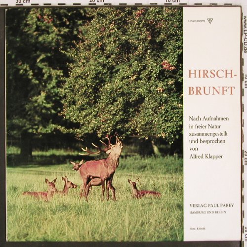 Hirschbrunft: Nach Aufnahmen in der freien Natur, Verlag Paul Parey (PAR 2), D, Mono Typ: LP Best.-Nr.: V3815 Preis: 12,50 Euro