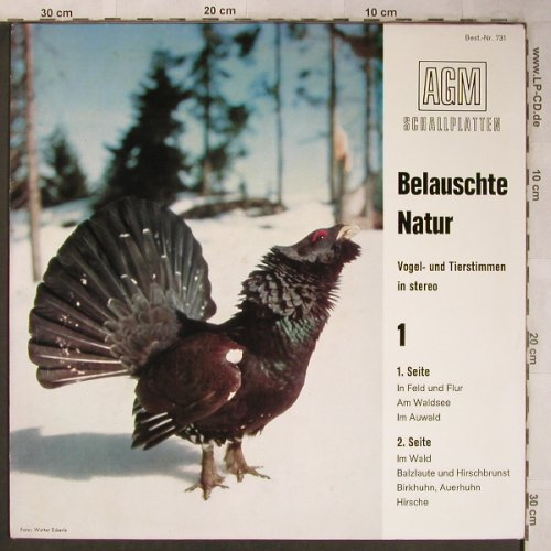 Belauschte Natur: Vogel u.Tierstimmen in Stereo, AGM(731), D,  - LP - X5296 - 6,00 Euro