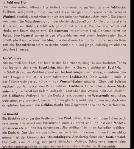 Belauschte Natur: Vogel u.Tierstimmen in Stereo, AGM(731), D,  - LP - X5296 - 6,00 Euro