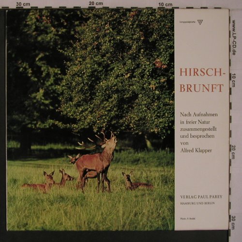 Hirschbrunft: Nach Aufnahmen in der freien Natur, Verlag Paul Parey(PAR 2), D,  - LP - X6964 - 11,50 Euro