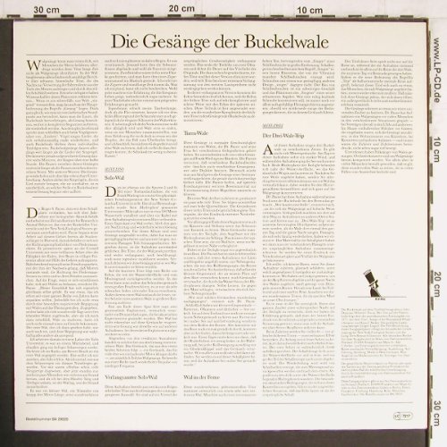 Buckelwale, Die Gesänge der: Solo-Wal...Der drei Wale-Trip,16min, 2001/Tweitauseneins (34917/BA 29020), D,rec.1970, 1988 Typ: LP Best.-Nr.: Y3527 Preis: 5,00 Euro