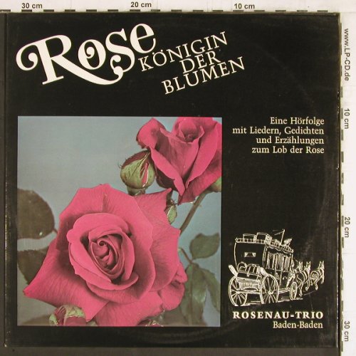 Rosenau-Trio , Baden Baden: Rose-Königin der Blumen, Adele Sandrock Studio(RT8), D,  - LP - Y5334 - 9,00 Euro