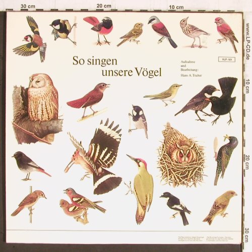 So Singen unsere Vögel: Hans A.Traber, 66 Tr. Foc, VLP(VLP-101), D, Mono, 1973 - 2LP - Y5593 - 7,50 Euro