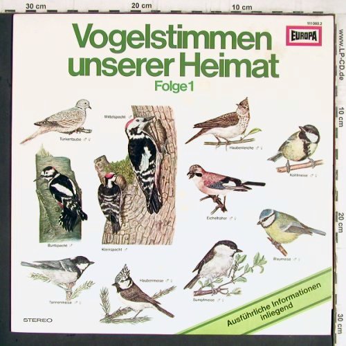 Vogelstimmen unserer Heimat: Folge 1, Europa (111 080.2), D, 1977 Typ: LP Best.-Nr.: Y5761 Preis: 5,00 Euro