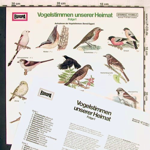 Vogelstimmen unserer Heimat: Folge 1, Europa (111 080.2), D, 1977 Typ: LP Best.-Nr.: Y5761 Preis: 5,00 Euro