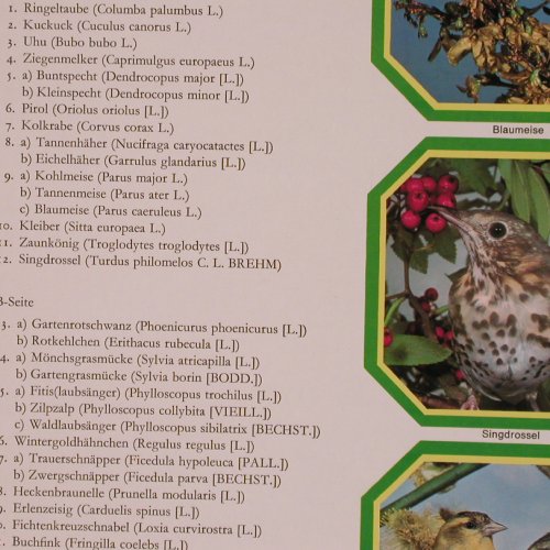 Stimmen der Vögel Mitteleuropas: Waldvgel,Haus, Hof,Garten 36Tr,Foc, Marcato(92 735), D, Mono,  - 2LP - Y643 - 6,00 Euro
