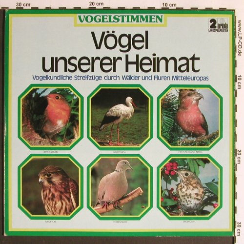 Vögel unserer Heimat: Vogelstimmen, Foc, Ariola (300 328-370), D, Mono, 1976 Typ: 2LP Best.-Nr.: Y6702 Preis: 6,00 Euro