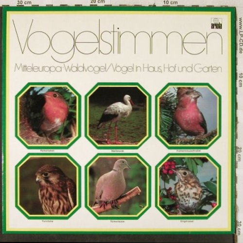 Vogelstimmen - Mitteleuropa: Waldvögel/Vögel in Haus,Hof,Garten, Ariola (85 625 XW), D, Foc, 1976 Typ: 2LP Best.-Nr.: Y6980 Preis: 7,50 Euro