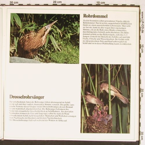 Wunderbare Welt der Vögel: Mit Tonband+Kamera...Foto-Booklet, Penny(S 2 1075/10), D,  - LP - Y7432 - 7,50 Euro