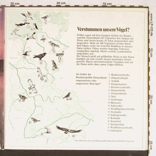 Wunderbare Welt der Vögel: Mit Tonband+Kamera...Foto-Booklet, Penny(S 2 1075/10), D,  - LP - Y7432 - 7,50 Euro