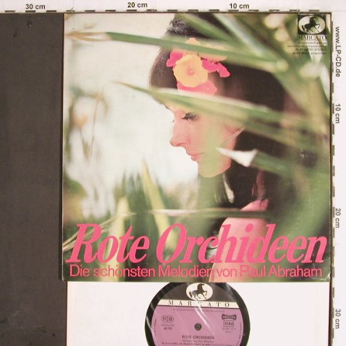 V.A.Rote Orchideen: Melodien von Paul Abraham, Marcato (60 701 -P8), D Typ: 10" Best.-Nr.: Y9558 Preis: 5,00 Euro