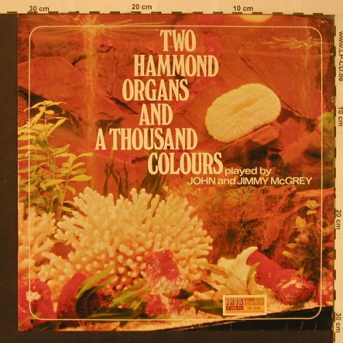 Mc Grey,John & Jimmy: Two Hammond Organs And A Thousand, Iris Rec.(15.004), NL,  - LP - F3980 - 7,50 Euro