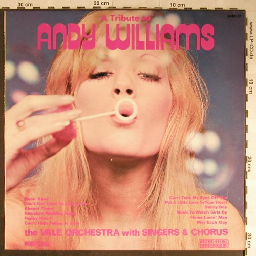Vale Orchestra  w. Singers & Chorus: A Tribute to Andy Williams, Wind Mill(WMD 137), UK, 1972 - LP - H5598 - 7,50 Euro