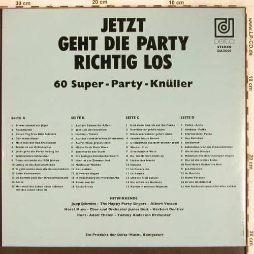 V.A.60 Super Party-Knüller: Jupp Schmitz, Muys, James Best..., Delta(DA 2001), D, Foc,  - 2LP - V936 - 5,00 Euro