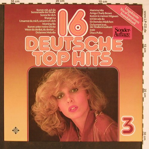 V.A.16 Deutsche Top Hits: 3, Vocal Versionen, Telefunken(6.22483 AF), D, 1976 - LP - Y707 - 5,00 Euro