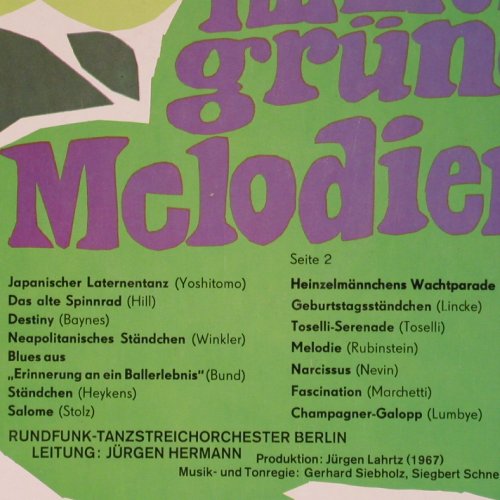 Rundfunk-Tanzstreich-Orchester: Immer grüne Melodien,Jürgen Hermann, Amiga, (8 55 139), DDR,m-/vg+, 1978 Typ: LP Best.-Nr.: Y8810 Preis: 5,00 Euro