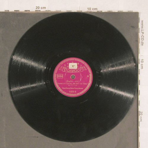 Schütz,Hans Georg - Tanzorch.: Hoch drob'n auf dem Berge, Polydor(11575), D, 1941 - 25cm - N319 - 4,00 Euro