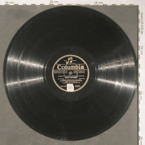 Bournemouth Municipal Orch.: Fluttering Birds/Idylle Bretonne, Columbia (9471), UK Typ: 30cm Best.-Nr.: N169 Preis: 5,00 Euro