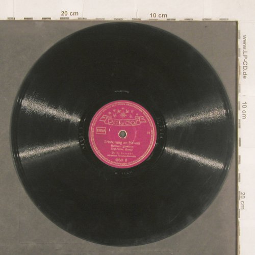 Berendt,Willy  - Hawaiian-Ens.: Träumen von der Südsee, Polydor (48 561), D, vg+, 1951 Typ: 25cm Best.-Nr.: N317 Preis: 4,00 Euro