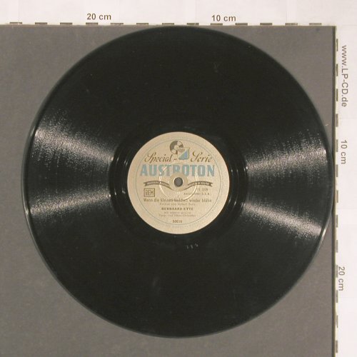 Ette,Bernhard mit s.gr.Tanz u.Orch.: Wenn der weiße Flieder wieder bl., Austroton (50016), A Typ: 25cm Best.-Nr.: N388 Preis: 10,00 Euro