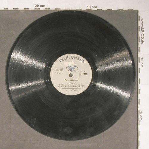 Lutter,Adabert  mit s.Tanzorch.: La Violeiera / Paio, cua, cua!, Telefunken (A 10 650), D Typ: 25cm Best.-Nr.: N99 Preis: 4,00 Euro