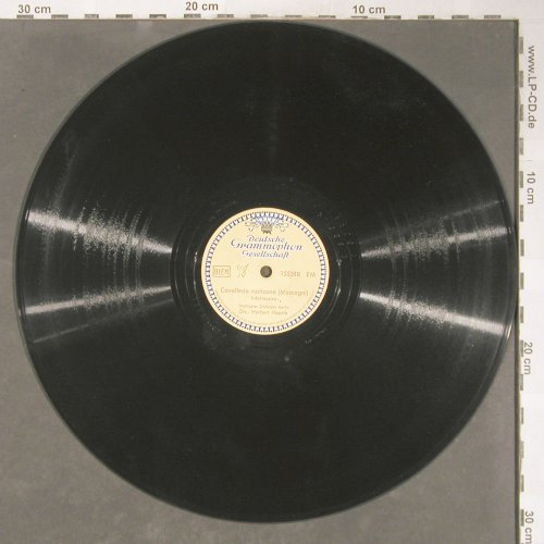 Rossini,Gioacchino / Mascogni: Der Babier,Gewitter 2.Akt., D.Gr. (15528), D, wol, 1943 Typ: 30cm Best.-Nr.: N209 Preis: 6,00 Euro