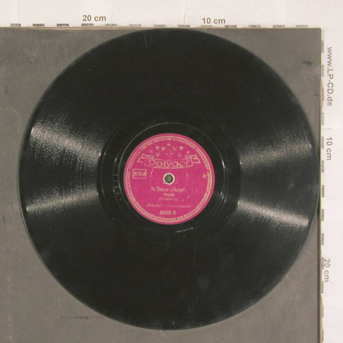 Polydor Blasorchester: Florentinischer Marsch/In Treue all, Polydor(48305), D, 1931 - 25cm - N340 - 6,00 Euro