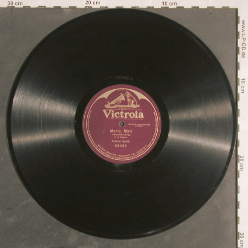 Scotti,Antonio: Maria, Mari, in ital. One sided, Victrola(88083), ,  - 30cm - N361 - 10,00 Euro