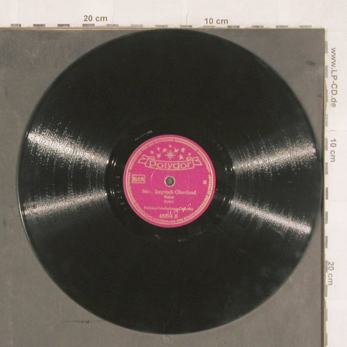 Polydor Unterhaltungs Orchester: Münchner Kindl / Mein bayrisch Ober, Polydor(48294), D, (1934), 1939 - 25cm - N342 - 5,00 Euro