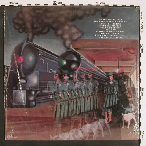 Three Dog Night: Coming Down Your Way, ABC(ABCD 888), US, co, 1975 - LP - V4305 - 7,50 Euro