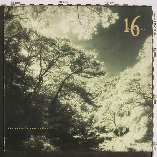 16 Tambourines: Haw green is your valley ?, Arista (210 307), D, 1989 Typ: LP Best.-Nr.: V4554 Preis: 7,50 Euro