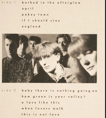 16 Tambourines: Haw green is your valley ?, Arista (210 307), D, 1989 Typ: LP Best.-Nr.: V4554 Preis: 7,50 Euro
