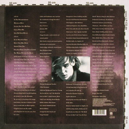 Alexander,Greg: Michigan Rain, A&M (395 255-1), D, 1989 Typ: LP Best.-Nr.: V4610 Preis: 7,50 Euro