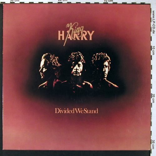 King Harry: Divided We Stand, EMI(064-06 435), D, 1977 - LP - V5645 - 4,00 Euro