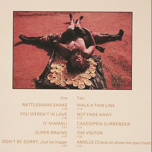 Fleetwood,Mick: The Visitor, Foc, RCA (PL 14080), D, 1981 Typ: LP Best.-Nr.: V6653 Preis: 7,50 Euro.