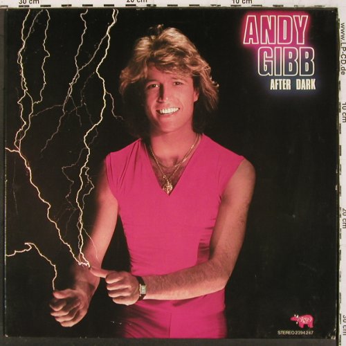 Gibb,Andy: After Dark, RSO (2394 247), D, 1980 Typ: LP Best.-Nr.: V6725 Preis: 7,50 Euro.