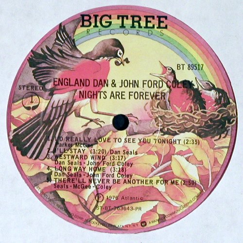 England Dan & John Ford Coley: Nights Are Forever, Big Tree(BF 89517), US, 1976 - LP - V6734 - 6,00 Euro