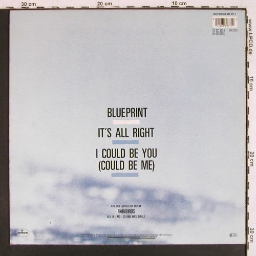 Rainbirds: Blueprint+2, Mercury (888 977-1), D, 1987 Typ: 12" Best.-Nr.: V7977 Preis: 5,00 Euro.